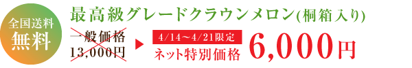 最高級グレードメロン 送料無料!